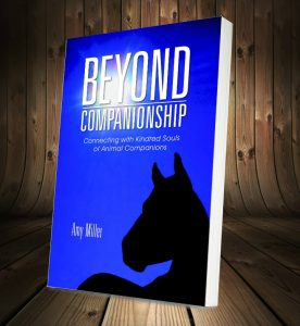 Beyond Companionship with Amy Miller | Animal Communication